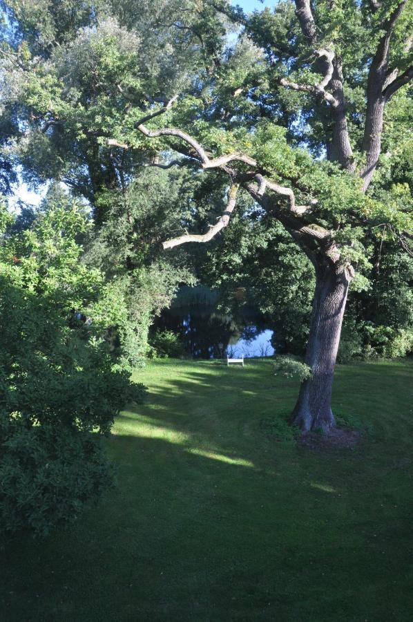 Gartenzimmer Im Schloss Neuhausen Neuhausen  Exterior foto